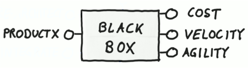 The Black Box